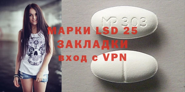 индика Осташков