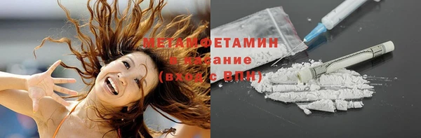 шишки Осинники