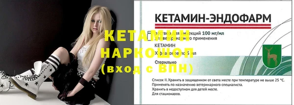 индика Осташков