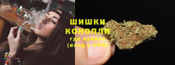 индика Осташков