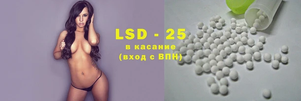 шишки Осинники