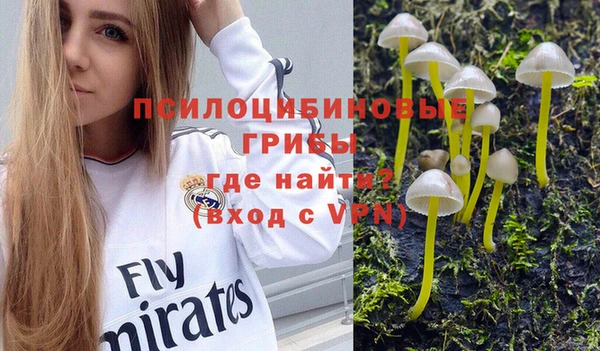 хмурый Нязепетровск