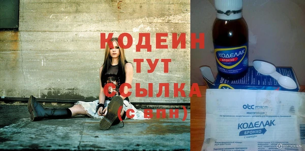шишки Осинники