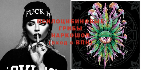 индика Осташков