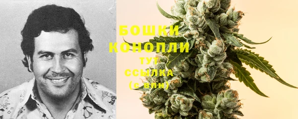 спиды Няндома
