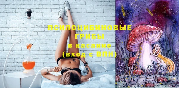 индика Осташков