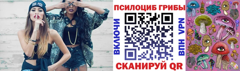 Псилоцибиновые грибы прущие грибы  Купить закладки  Киреевск 