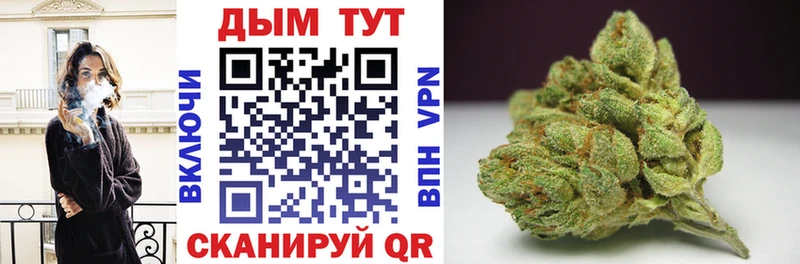 Конопля семена  Купить где  Киреевск 